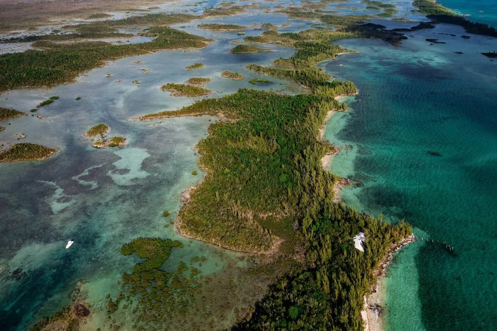 Armstrong And Pond Apple Abaco BS