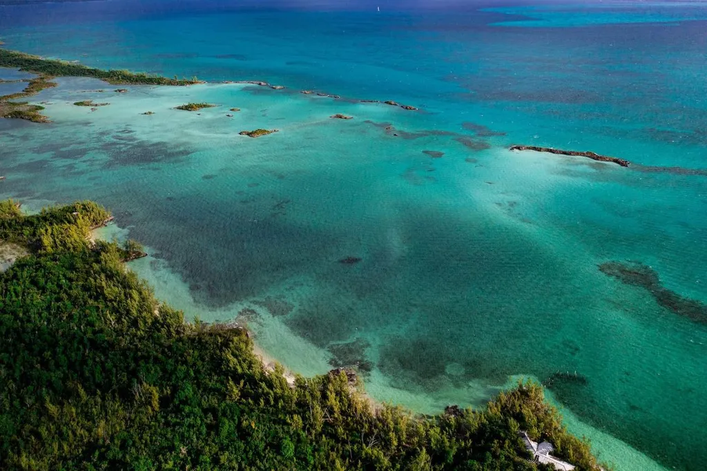 Armstrong And Pond Apple Abaco BS