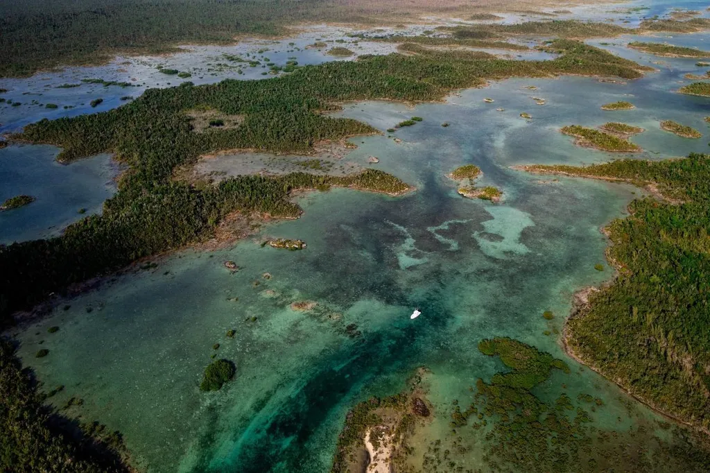 Armstrong And Pond Apple Abaco BS