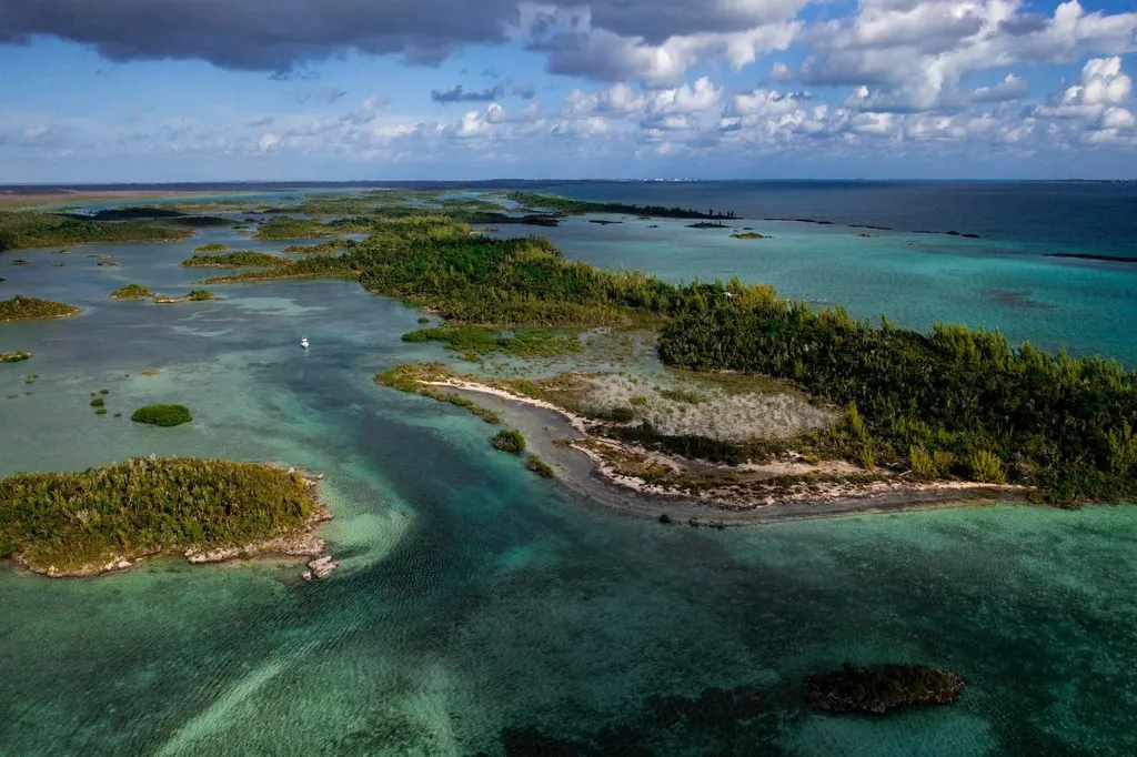 Armstrong And Pond Apple Abaco BS