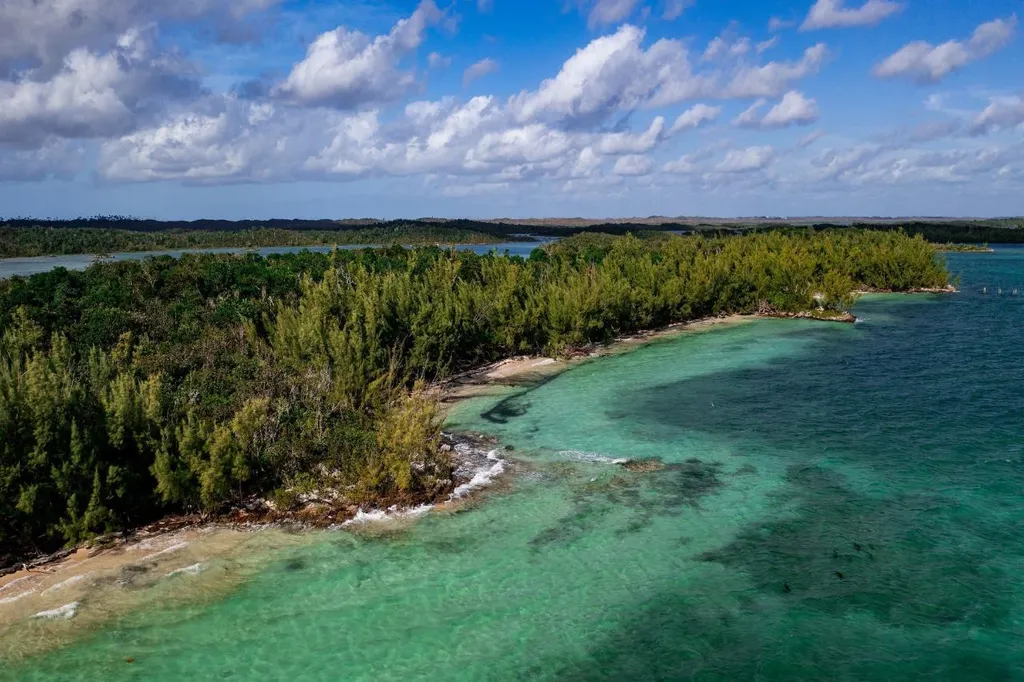 Armstrong And Pond Apple Abaco BS