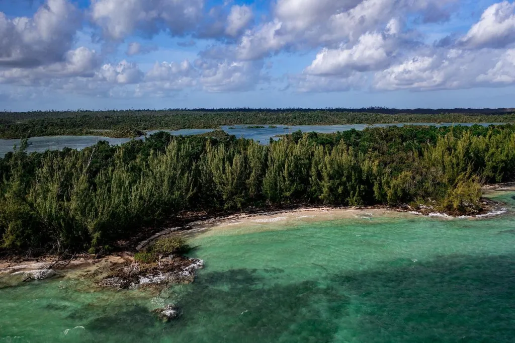 Armstrong And Pond Apple Abaco BS