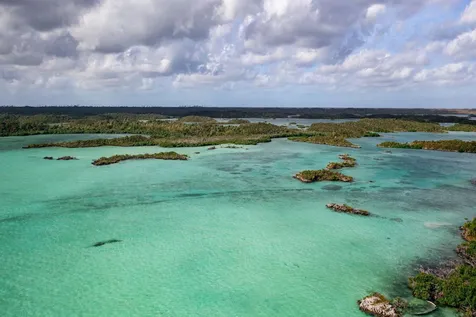 Armstrong And Pond Apple Abaco BS