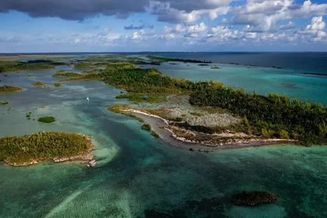 Armstrong And Pond Apple Abaco BS