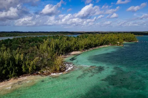 Armstrong And Pond Apple Abaco BS
