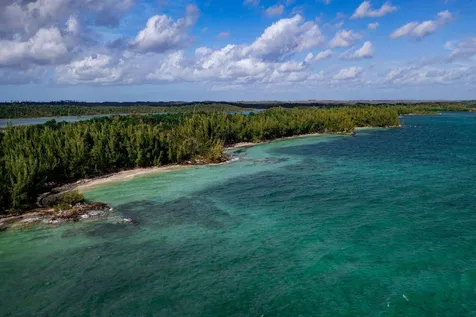Armstrong And Pond Apple Abaco BS