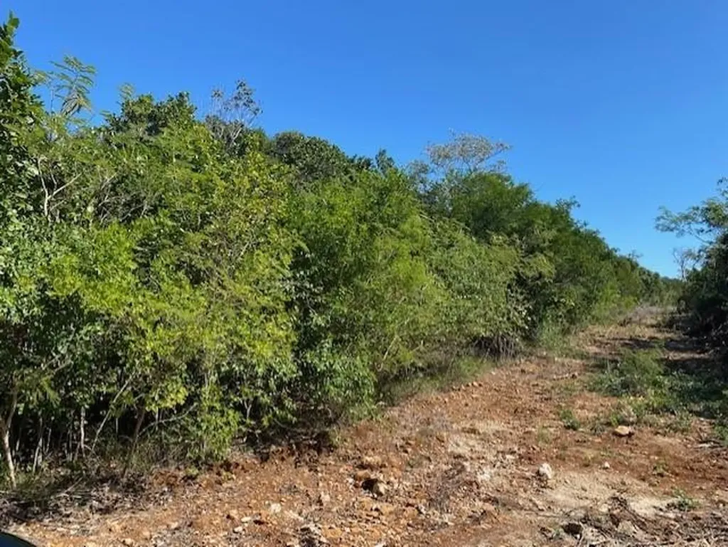 Ten Bay Acreage Eleuthera BS