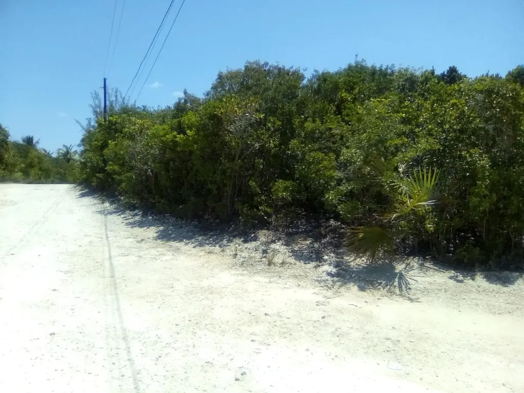 Ten Bay Acreage Eleuthera BS