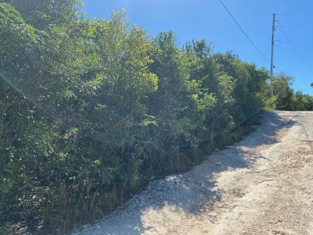 Ten Bay Acreage Eleuthera BS