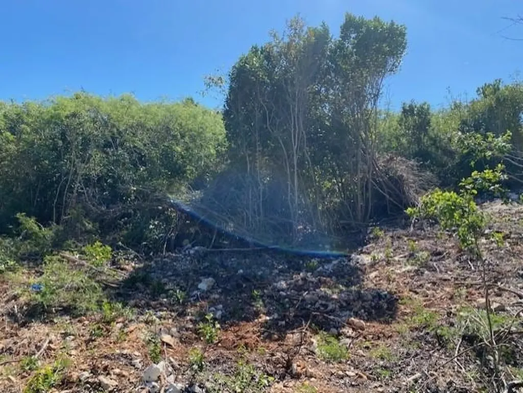 Ten Bay Acreage Eleuthera BS