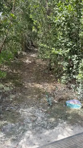 Ten Bay Acreage Eleuthera BS