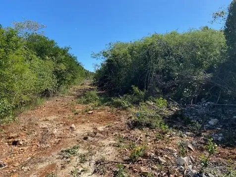 Ten Bay Acreage Eleuthera BS