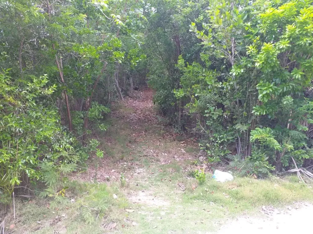 Lot #2 Ten Bay Subdivisio Eleuthera BS