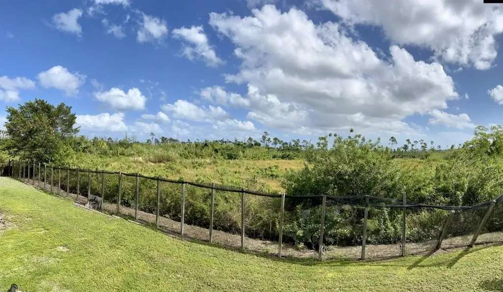 Nelson Road New Providence Paradise Island BS