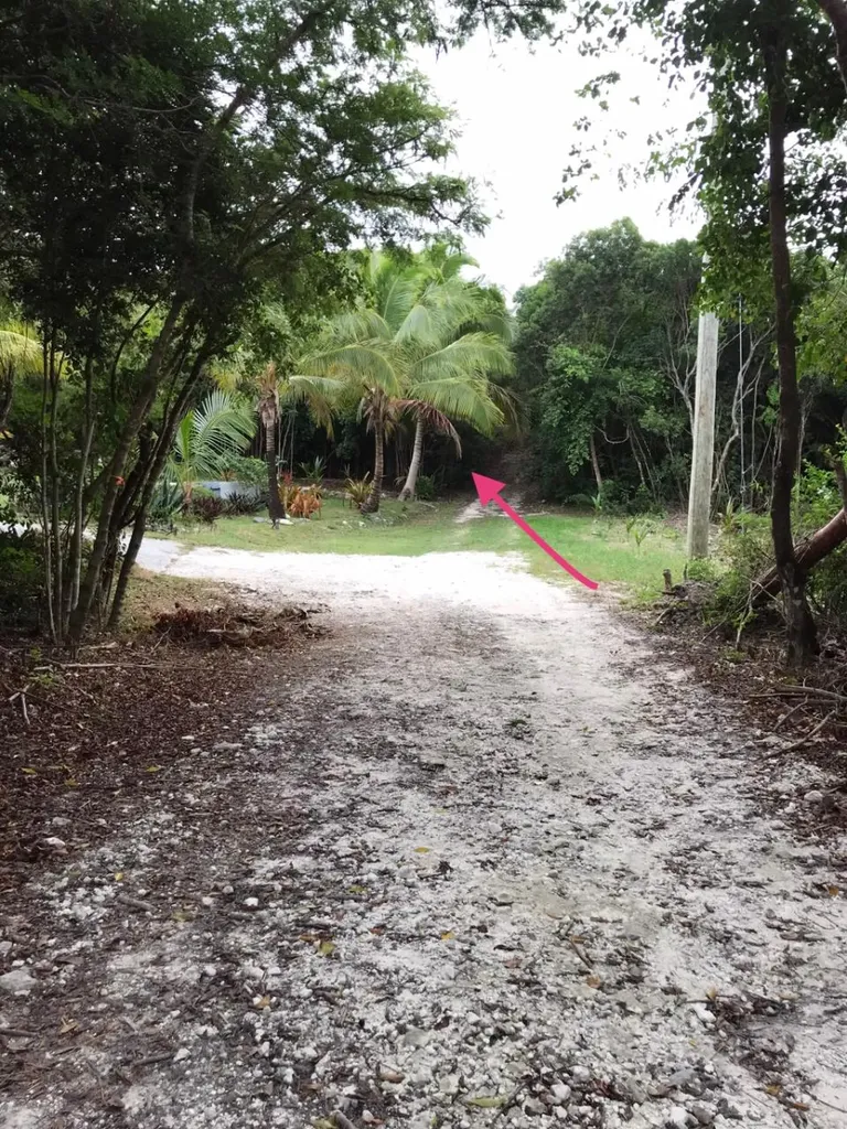 Eleuthera Isl Shore Lt 17 Eleuthera BS