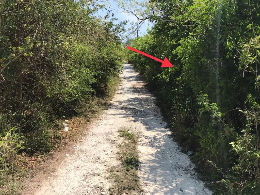 Eleuthera Isl Shore Lt 17 Eleuthera BS