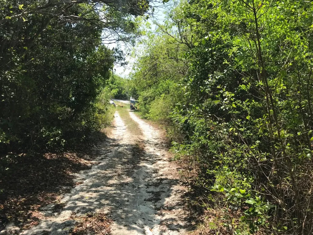 Eleuthera Isl Shore Lt 17 Eleuthera BS