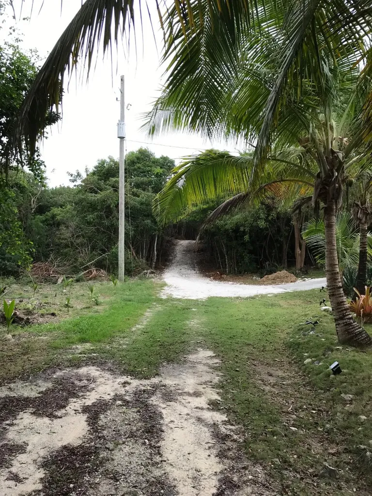 Eleuthera Isl Shore Lt 17 Eleuthera BS