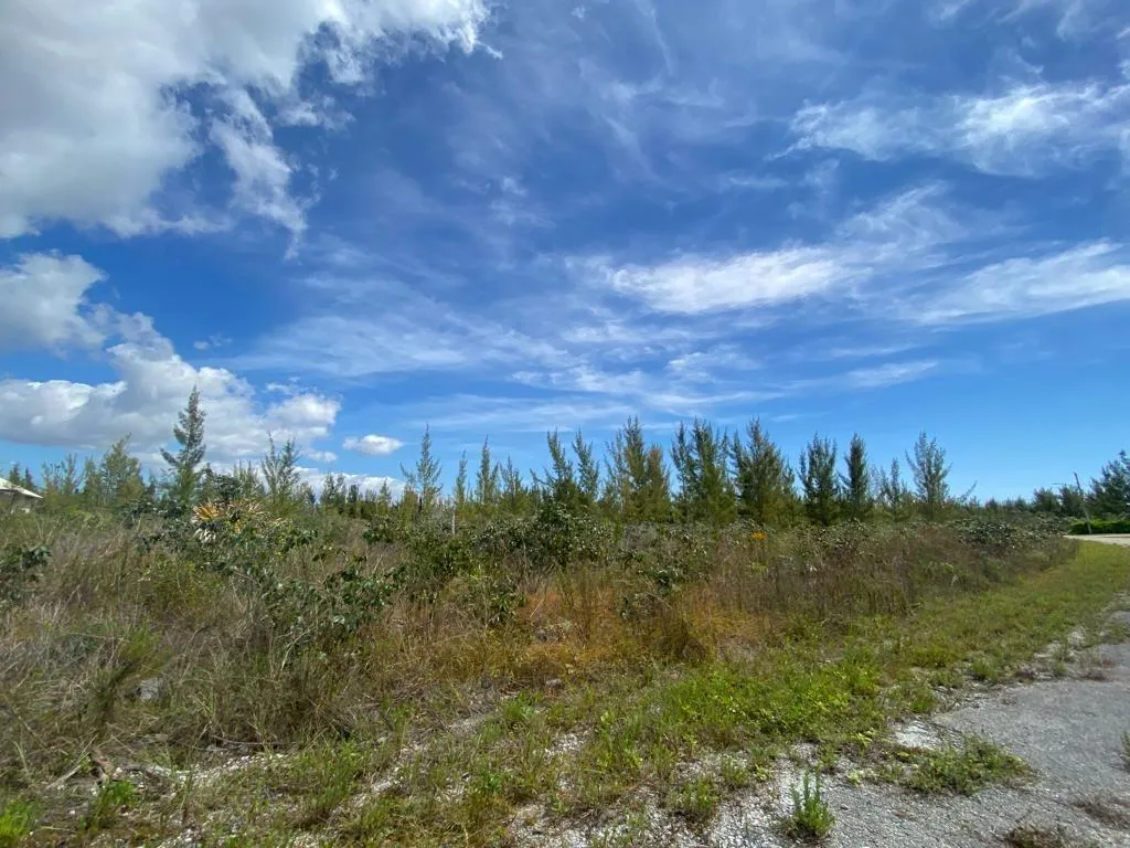 Lincoln Green Grand Bahama Freeport BS