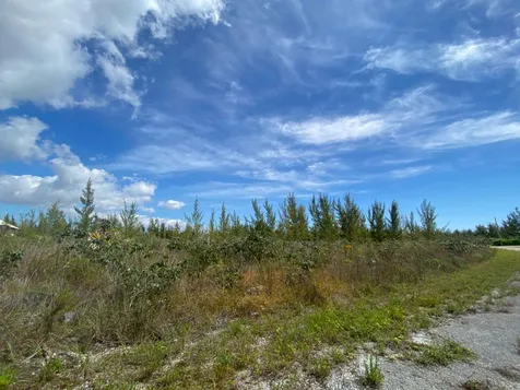 Lincoln Green Grand Bahama Freeport BS