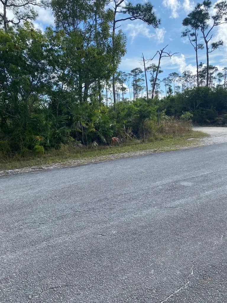 Sherwood Drive 6 Grand Bahama Freeport BS