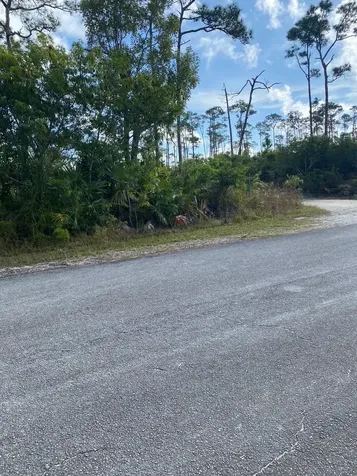 Sherwood Drive 6 Grand Bahama Freeport BS