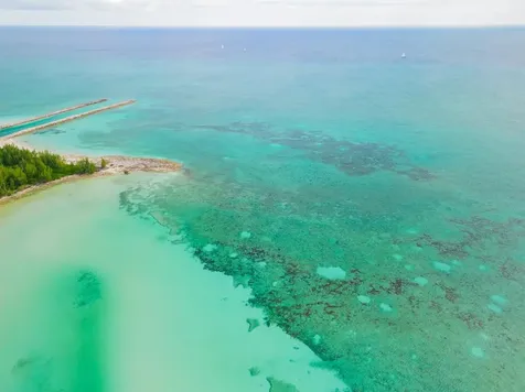 Silver Point Drive Grand Bahama Freeport BS