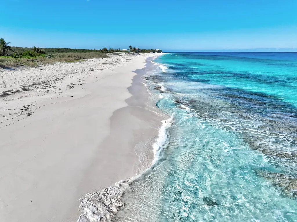 Blew It Blew It Abaco BS