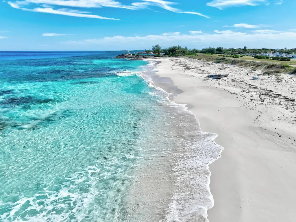 Blew It Blew It Abaco BS