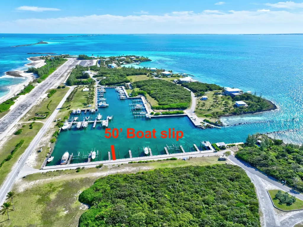 Blew It Blew It Abaco BS