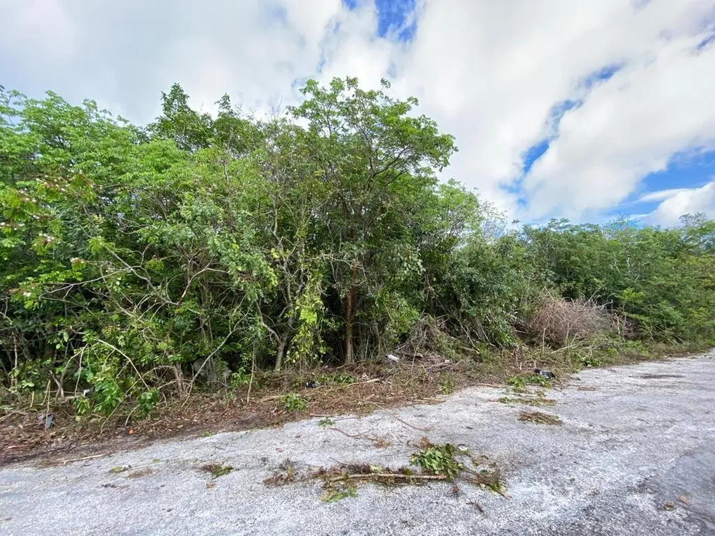 Rocky Point Road Grand Bahama Freeport BS