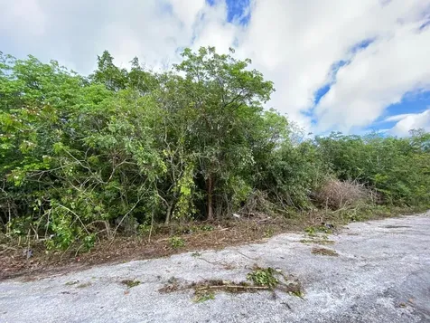 Rocky Point Road Grand Bahama Freeport BS