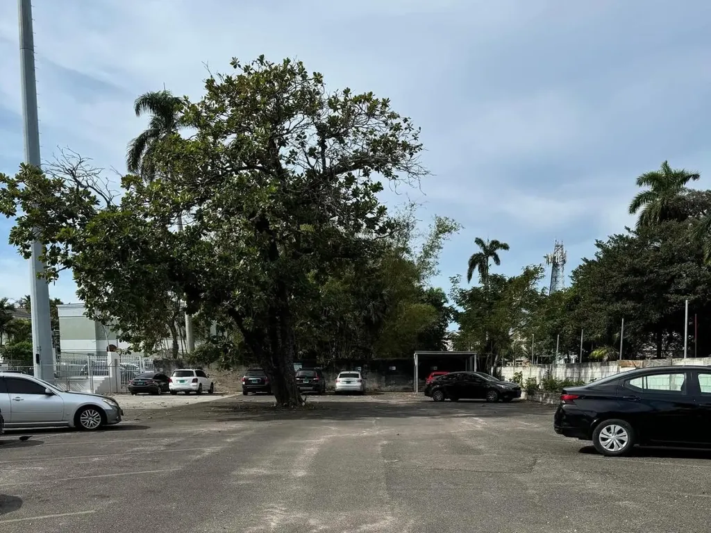Parking Lot Elizabeth Avenue New Providence Paradise Island BS