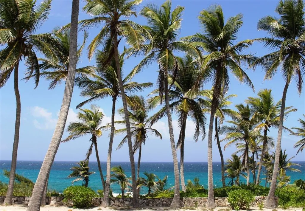 Stella Maris Resort Long Island BS