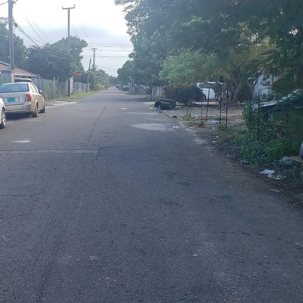 34 Flamingo Avenue New Providence Paradise Island BS