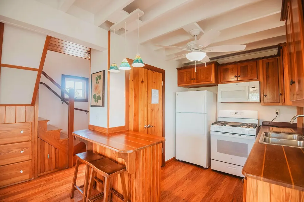 Gumbo Limbo Abaco BS