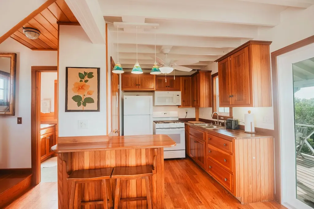 Gumbo Limbo Abaco BS