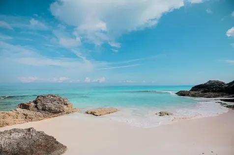 Gumbo Limbo Abaco BS