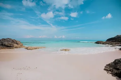 Gumbo Limbo Abaco BS