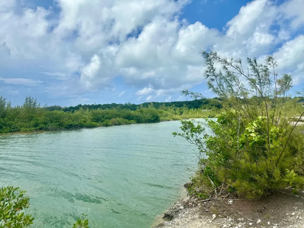 South Westridge 2.2 Acres New Providence Paradise Island BS