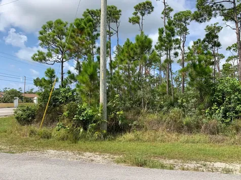 Wrexham Drive Grand Bahama Freeport BS