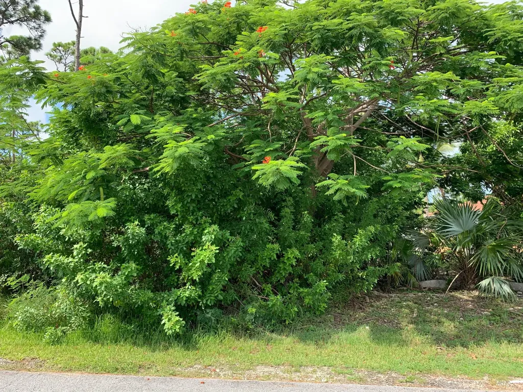 Wrexham Drive Grand Bahama Freeport BS