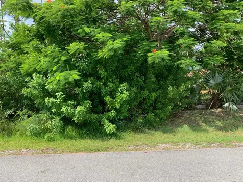 Wrexham Drive Grand Bahama Freeport BS