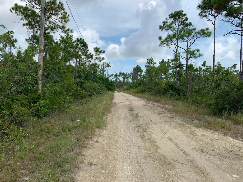 Ringwood Drive Grand Bahama Freeport BS