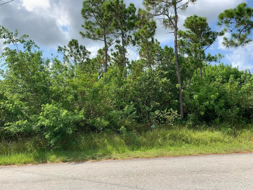 Sandcombe Drive Grand Bahama Freeport BS