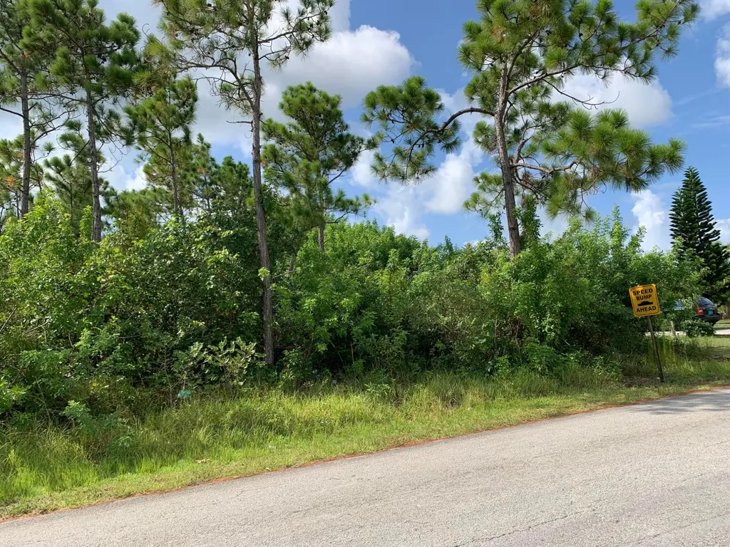 Sandcombe Drive Grand Bahama Freeport BS