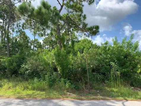 Sandcombe Drive Grand Bahama Freeport BS