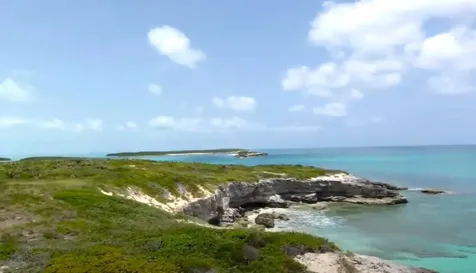 Neptune's Nest Berry Islands BS