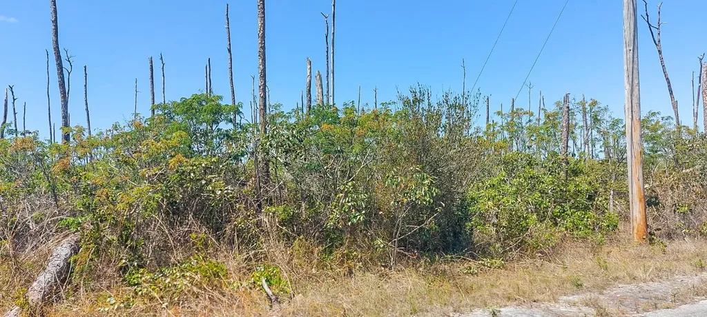 Devonshire Sub Grand Bahama Freeport BS