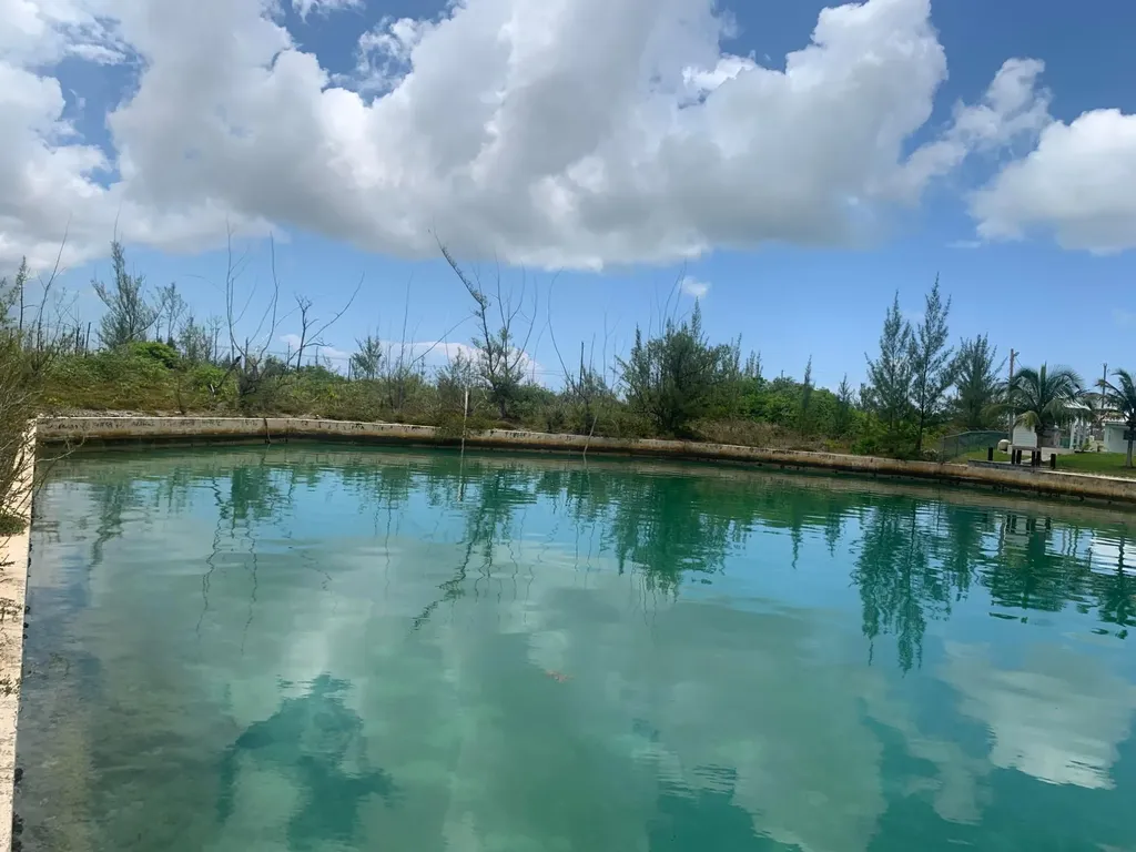 Debden Lane Grand Bahama Freeport BS